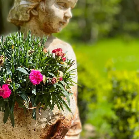 Bed & Breakfast Propriete Du Benitier Normandie Le Fidelaire